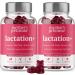 Mother's Promise Lactation Supplement Gummies for Breast Milk Production Increase | Postnatal Lactation Support for Breastfeeding, Nursing & Lactating with Fenugreek, Moringa & Milk Thistle | 2 Pack