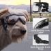 NAMSAN Medium to Large Dog Sunglasses - UV Transparent Goggles for Windproof, Anti-Dust, Snowproof Protection - Buy Online on GoSupps.com