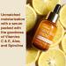 Terrafique Bakuchiol Serum for Face - Hydrating Retinol Alternative with Spirulina - Anti Aging Skin Care - 1 Fl. Oz - Buy Online on GoSupps.com