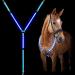 LED Horse Breastplate Collar-Best High Visibility for Horseback Riding-Adjustable-Sturdy and Comfortable Equestrian Safety Gear-for Night Horse Riding (Blue) - Buy Online on GoSupps.com