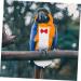 PopetPop Flying Bird Diapers - Protective Parrot & Pigeon Outfit | Sittich Diapers for Birds - 20x11cm Neoprene Suit - Buy Online on GoSupps.com