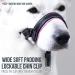 Goodboy Dog Halter with Seat Belt | No Pull Padded Harness for Small Medium & Large Dogs - Size 1 Pink - Buy Online on GoSupps.com