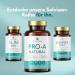Solvisan Pro-A Natural - 500mg Pumpkin Seed 400mg Saw Palmetto 200mg Nettle Extract Selenium & Beta-Carotene - 90 Capsules for Optimal Health | International Shipping Available - Buy Online on GoSupps.com