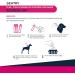 Sentry Flea Tick & Mosquito Control for Dogs Weighing up to 15 kg 3 Tubes - Buy Online on GoSupps.com