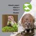 Preparts Pest X - Ultrasound Animal Repeller for Mice & Rats | Chemical-Free Pest Control 360 m2 Coverage - Buy Online on GoSupps.com