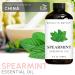 Brooklyn Botany Frankincense & Spearmint Essential Oils 4 Fl Oz (Pack of 2) 100% Pure & Natural Cool & Grounding Aromatherapy Blend - Buy Online on GoSupps.com