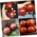 Fomiyes Solid Wood Massage Balls - Hand Roller for Blood Circulation & Relaxation | 2-Pack Leisure Balls - Buy Online on GoSupps.com
