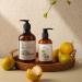 Natural Hand & Body Lotion - Botanical Touch | Salty Breeze of Citrus & Salt - 236 ML | International Shipping Available - Buy Online on GoSupps.com