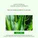 VENZEN Centella Asiatica Aloe Vera Gel - Soothing Moisturizer for Sunburn Relief - 120g | Hydrating Skin Care - Buy Online on GoSupps.com