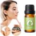 Essential Aromatherapy Oil - Lavender & Arnica Ointment 10ml | International Shipping | Relaxation & Massage - Buy Online on GoSupps.com
