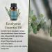 Yethious 4 Pack Essential Oil Set - Lavender Jasmine Vanilla Eucalyptus for Diffuser, Soap, Candles - Premium Aromatherapy Bundle - Buy Online on GoSupps.com