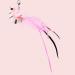 ROSAUI Cat Toy Set - 4-Pack Interactive Fishing Rod & Suction Cup Bird Toys for Playful Cats | International Shipping Available - Buy Online on GoSupps.com