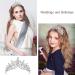 Elegant Wedding Diadem & Crystal Tiara for Brides | Silver Crown with Strass & Jewels | Perfect for Ceremonies Birthdays & Special Occasions - Buy Online on GoSupps.com