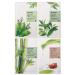 MIZON Joyful Time Essence Mask Sheet Combo Pack | 16 Facial Masks for Radiant Skin - International Shipping Available - Buy Online on GoSupps.com