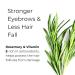 Noor Skincare Eyebrow & Eyelash Growth Serum - Organic Boosting Oil for Thick Brows & Lashes | Fast Volume with Castor Oil & Applicator - Buy Online on GoSupps.com