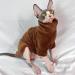 ZONEWD Sphynx Cat Clothes Cat Jumpers For Cats Only Winter Fleece Cat Coat Warm Cat Outfits For Kitten Sphynx Cat XS - Buy Online on GoSupps.com
