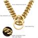 Fully Welded 18K Gold Dog Collar Heavy Duty Choke Cuban Dog Chain for Large Dogs Strong Stainless Steel Links Slip Chain Training Collar (24inch(Fit 20 -22 Dog s Neck) Wide:15mm-18K Gold Plated) 24inch(Fit 20 -22 Dog s Neck) Wide:15mm-18k Gold Plated - Buy Online on GoSupps.com