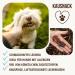 Petlove Horse Meat Kausnack for Dogs | 100% Natural Low-Fat Easy Digestible Dental Snack | 300g - Premium Dried Horse Meat Treats - Buy Online on GoSupps.com