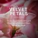Victoria's Secret Velvet Petals Mist & Lotion Set - Buy Online on GoSupps.com