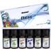 6X10ml Essential Blends Fragrance Oil Set | Premium Scents for Diffusers Candles Slime Soap Making and More Tea Tree Jasmine Lavender & More - Buy Online on GoSupps.com