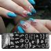 6-Piece Nail Stamping Plates Set with Stamper, Scraper, Chrysanthemum, Coconut Tree, and Leaf Designs - Manicure Nail Art Templates for Flowers - Nail Supplies - Buy Online on GoSupps.com