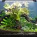 15 Inch LED Aquarium Light Submersible Crystal Glass Fish Tank Bar, IP68 Waterproof White LEDs - Buy Online on GoSupps.com
