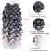 Short 10 inch Grey Curly Crochet Hair for Black Women - Water Wave Ocean Wave Gogo Curl Crochet Braids (TGREY) - Buy Online on GoSupps.com