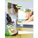Pure Sweet Orange Essential Oil - 100% Natural Citrus Aromatherapy for Diffusers Skin & Body Care | Fresh Fall & Christmas Scents | 4 Fl Oz - Buy Online on GoSupps.com