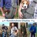 Slowton Dog Carrier Bag | Adjustable Padded Shoulder Strap | Gray Pet Bag for Outdoor Walks & Excursions (S: 1.3-3.6kg) - Buy Online on GoSupps.com