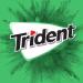 Trident Spearmint Sugar Free Gum 168 Pieces - 12 Packs, 14 Pieces Each - Buy Online on GoSupps.com