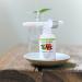 Lily Sado Tea+C Green Tea + Vitamin C Super Serum - Organic Vegan Anti-Wrinkle Moisturizer for Luscious Radiant Skin - Women & Men - Buy Online on GoSupps.com
