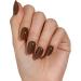 Bluesky Gel Nail Polish 10ml Voice of Earth - AW2314 Brown Soak-Off Gel Polish for 21 Day Manicure Professional Salon& Home Use Requires Curing Under UV/LED Lamp - Buy Online on GoSupps.com