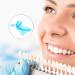 Healifty Dental Night Guard 2pcs Blue - Mouth Guard for Teeth Grinding and Clenching at Night - Buy Online on GoSupps.com
