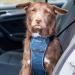 CarSafe Crash Tested Dog Safety Harness by Halti | Safely Secure Dogs up to 32Kg/70lbs | Comfortable Padded Design for Dogs of all Sizes - Buy Online on GoSupps.com