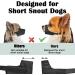 Soft Muzzle for Short Snout Dogs | Durable Muzzles for Small to Large Breeds - Chihuahua Shih Tzu American Bulldogge Pitbull - Perfect for Walks & Fur Care - Buy Online on GoSupps.com