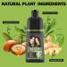 Shampooing Colorant - Couverture Hydratante Pour Cheveux Blancs Formule Hydratante 500ml Pour Cheveux Boucl s Fins Et pais Id al Pour Un Usage En Voyage Au Salon Et Domicile Romarin 1 unit (Lot de 1) - Buy Online on GoSupps.com