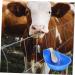 STOBAZA Cow Drinking Bowl Stainless Steel Water Fountain Cow Plushies Automatic Livestock Drinker Sink Water Cup Poultry - Buy Online on GoSupps.com