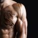 35 Long Lasting Tribal Totem Temporary Tattoos for Men and Women - Dragon, Scorpion, Large Fake Tattoo Stickers - Buy Online on GoSupps.com