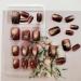 Shop Short Press on Nails - Square Cat Eye Acrylic Nails | Glossy Brown Full Cover False Nails - 24 Pcs for Women - Buy Online on GoSupps.com
