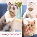 BSitsss Adjustable Cat Collars - 4 Pack Removable Kitten Accessories (18-33cm) - Color Random - Perfect for Cats and Kittens - Buy Online on GoSupps.com