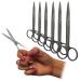 Qualicare Nurse Scissors Stainless Steel Pack of 6