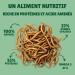 Dried Flour Worms 5 kg Au Comptoir de No 100% Natural Rich in Protein and Good Fats to Fat Flour - Buy Online on GoSupps.com