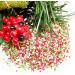 Christmas Red, Green, and White Mix Cake Topper Sprinkles - 30g Edible Festive Decorations for Xmas Party Cakes - Buy Online on GoSupps.com