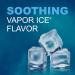 GoodSense Vapor Ice Day and Night Severe Cold and Flu Caplets Combo Pack - Buy Online on GoSupps.com