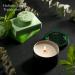 Natural Eucalyptus Spearmint Bath Set - 17 Pcs Home Spa Gift Basket with Mint Fragrance for Aromatherapy - Bath Oil, Shower Gel, Bubble Bath, Crystal, Steamer Tablet & More - Buy Online on GoSupps.com