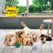 Bestsupplier 25 Pack Crinkle Balls Cat Toys - Mylar Crinkle Balls for Cats - Random Color Pack - Buy Online on GoSupps.com