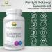 Natural Antihistamine Supplement for Allergies - Histamine Shield Plus - 120 Capsules - Buy Online on GoSupps.com