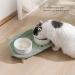 Kjaoyu Elevated Puppy Bowls for Food & Water | Ceramic Cat Bowls | Cervical Spine Protection | Double Feeder | Green & White - Buy Online on GoSupps.com