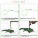 SHMLY 2-Piece Adjustable Leash & Harness for Lizards Hamsters Guinea Pigs & Small Pets - Blue & Pink - Buy Online on GoSupps.com