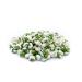 LILA BAZAAR Wasabi Coated Green Peas 24 oz | Crunchy & Spicy | Resealable Bag | Kosher Certified - Buy Online on GoSupps.com